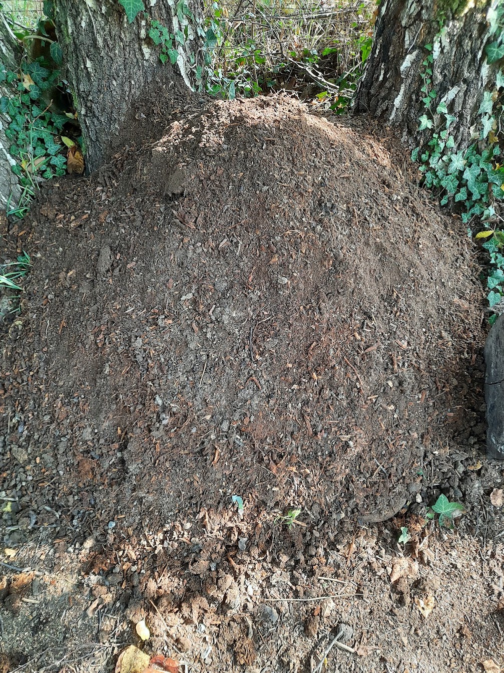Témoignage autour du compost